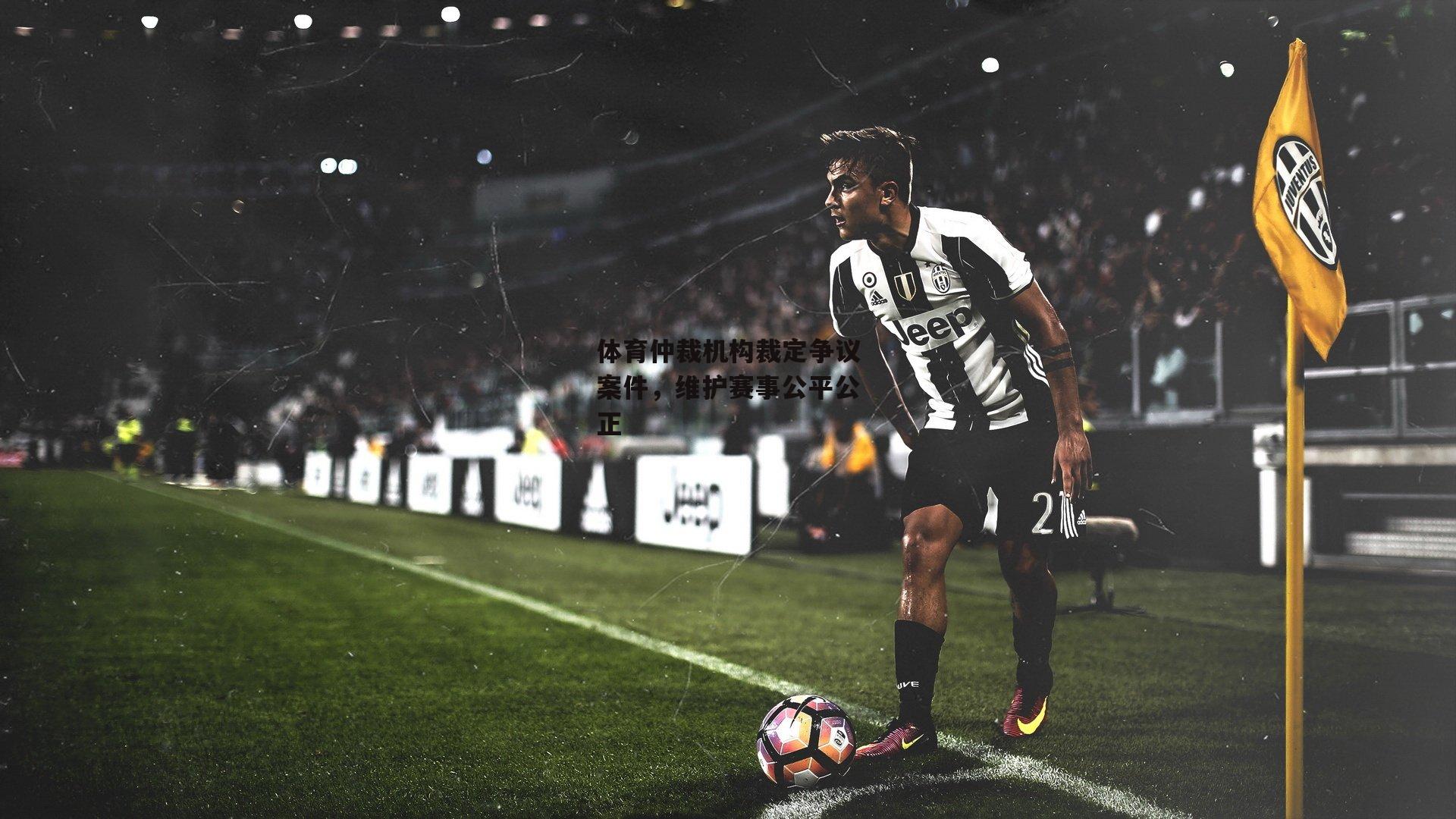 体育仲裁机构裁定争议案件,维护赛事公平公正